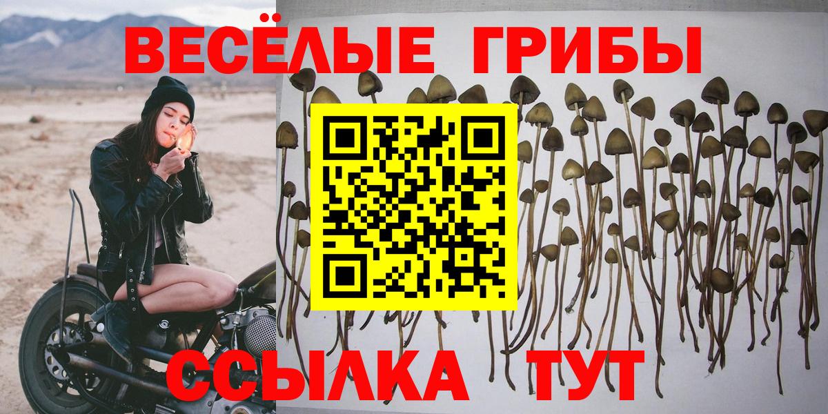 Галлюциногенные грибы мухоморы Михайловка