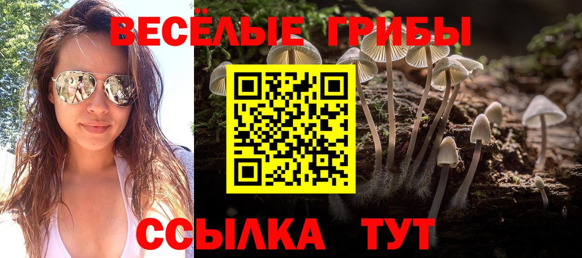 Галлюциногенные грибы Cubensis  Вход с VPN  Михайловка 